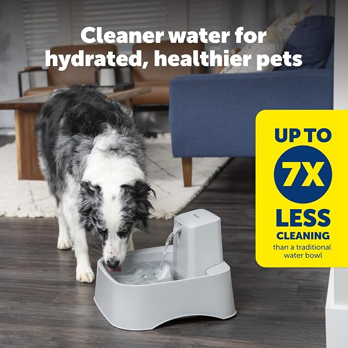PetSafe Oasys Pet Fountain, 2 Gallon (256 oz), Cats, Dogs & Multi-Pet Homes | Adjustable Water Flow, Whisker-Friendly Tray, Dishwasher-Safe, Replaceable Carbon & Foam Filters Included