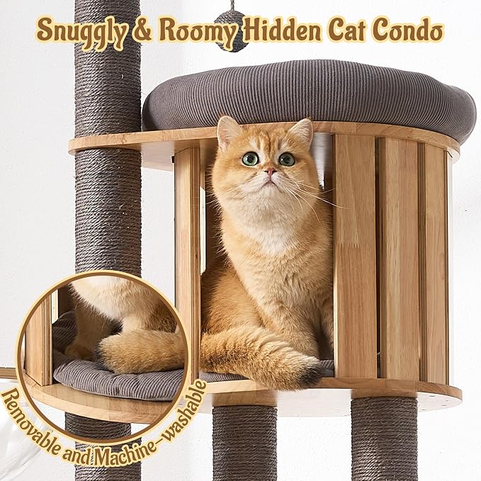 Modern Cat Tree Tower with Scratching Post, 61.5in Tall Cat Tree for Indoor Cats, Multi-Level Solid Wood Cat Furniture with Ladder, Cozy Cat Beds, Cat Condo, Capsule Nest, Dangling Toy, Gray