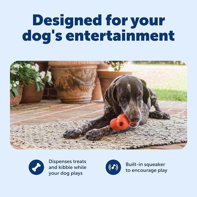 PetSafe Sportsmen Squeak 'N' Treat Troog Dog Chew Toy - Interactive Pet Puzzle for Boredom or Separation Anxiety - Use with Treats - Large