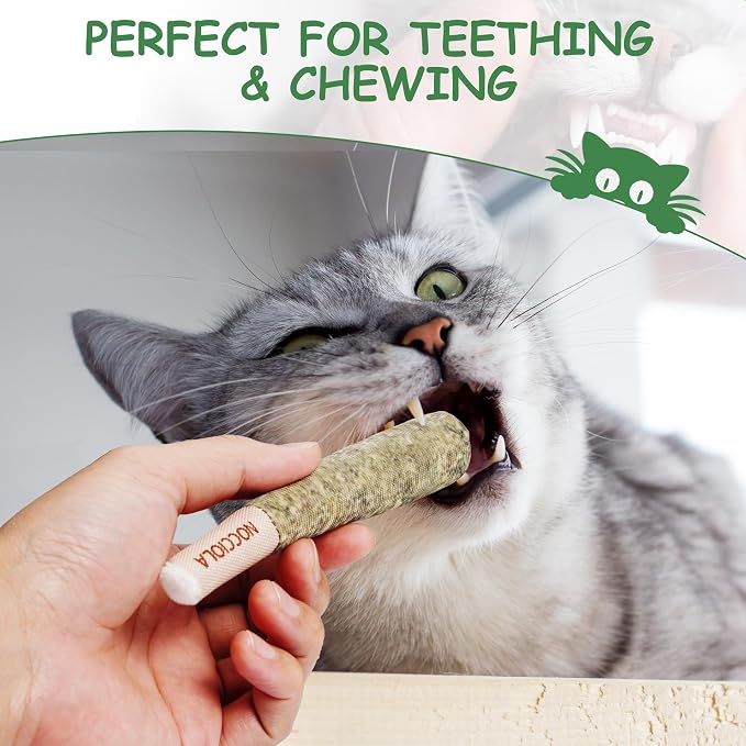 Nocciola 3 Pack Catnip Toys for Cats, Funny Cat Toys Filled with 100% Pure Organic Catnip, Safe Kitten Teething Chew and Kicker Toys