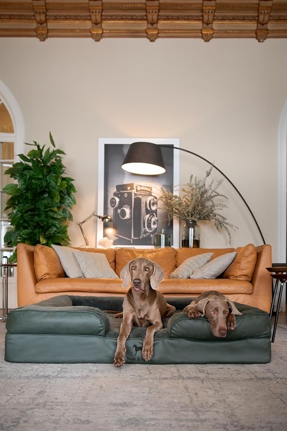 NOAH & PAW Giant Dog Bed XXL, 55x45x11 Inch, Orthopedic Dog Beds, Eggshell Memory Foam Infused with Cooling Gel, Inner Cover, Water Resistant, Machine Washable (Faux Leather)