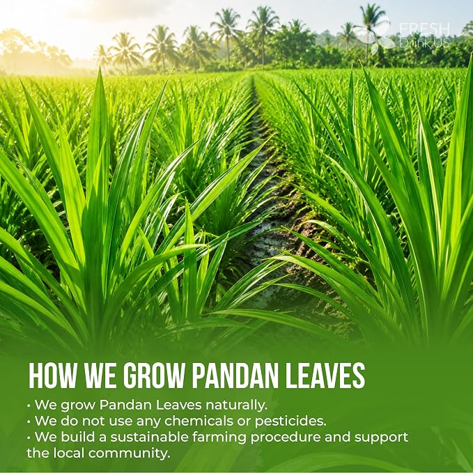 FreshDrinkUS, Premium 2oz Natural Pandan Leaves Dried, 100% Pure Dried Pandan Leaves, Pandan Leaf Tea, No Additives, No Caffeine, Vegan (2 oz Dried Leaves)