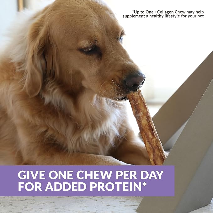 Wild Eats Real Duck Collagen Stick Dog Treat 10", 3 Count, Retriever Rolls | Long lasting rawhide and grain free chews, low fat recipe, suits medium and large breeds, satisfies natural gnawing urges