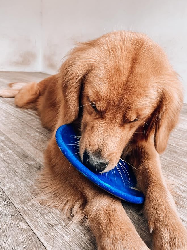 SuperChewer Tough Flying Disc Toy | Lifetime Replacement | Strong Natural Rubber | Great Dog Fetch Toys | Rubber Disc Toy for Dogs | Ultra Durable Chew Toys for Aggressive Chewers | for All Breeds