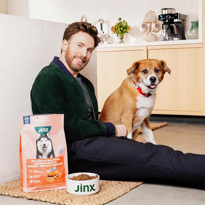Jinx Dry Dog Food, Large Breed - Beef, Brown Rice & Sweet Potato, 11.5lb | Premium Large Breed Kibble with Antioxidants for Joint Health, Mobility & Immune Support - No Fillers