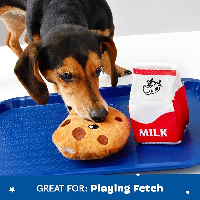 BarkBox Afterschool Snack Pack Interactive Plush Dog Toy Bundle