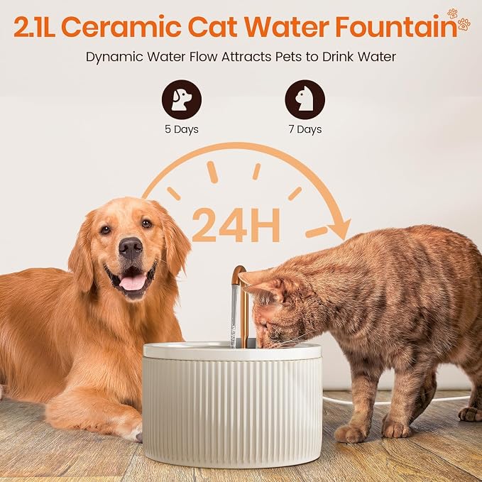 MISFANS Ceramic Cat Water Fountain with 2-Pack Replaceable Filters | 71oz/2.1L Cat Fountain for Drinking, MISFANS-Designed Pump & Filter, Plastic Automatic Pet Water Fountain Bowl & Dispenser