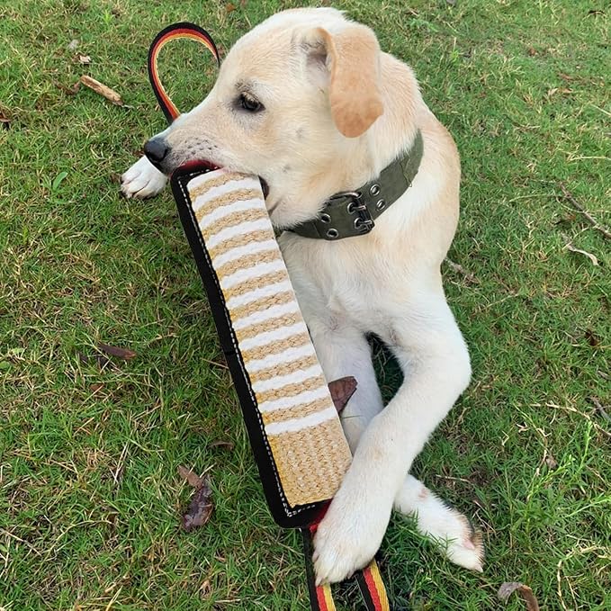 ASOCEA Dog Tug Toy,Bite Jute Pillow Pull Toy Squeaky Dog Toys with Handles
