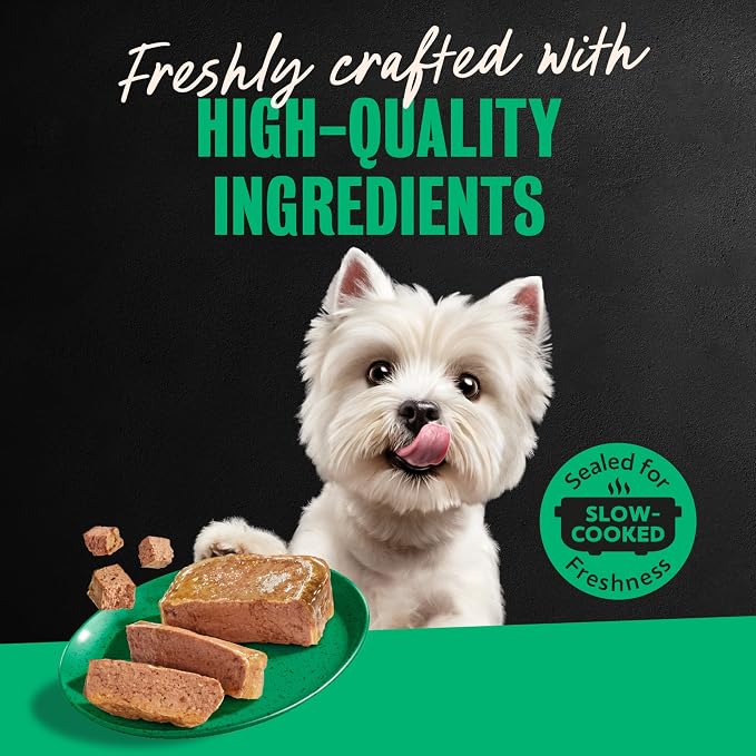Cesar Classic Loaf in Sauce Wet Dog Food, Poultry Lovers, 3.5 oz, 36 Count | Real poultry #1 ingredient, no fillers or artificial flavors, easy-to-digest, slow-cooked tender texture, easy peel trays
