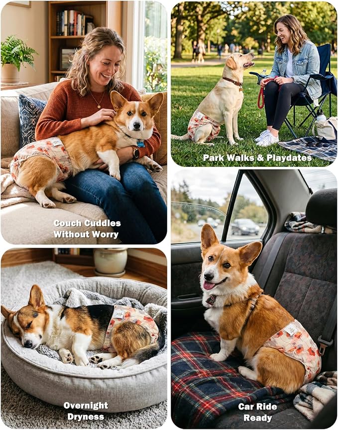 CuteBone Dog Diapers Female Washable Small Medium Large 3 Pack Reusable Doggie Diapers Puppy Period Pants for Doggy Heat Cycle Peeing