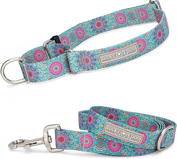 Lucky Love Dog Martingale Collar & Leash Set No Slip Cute – Clara, Large