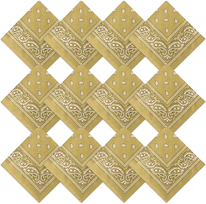 Suhine 12 Pcs Bandanas Bulk 22 x 22 Inch Paisley Headband Cowboy Handkerchief Christmas Thanksgiving Gift for Women Men
