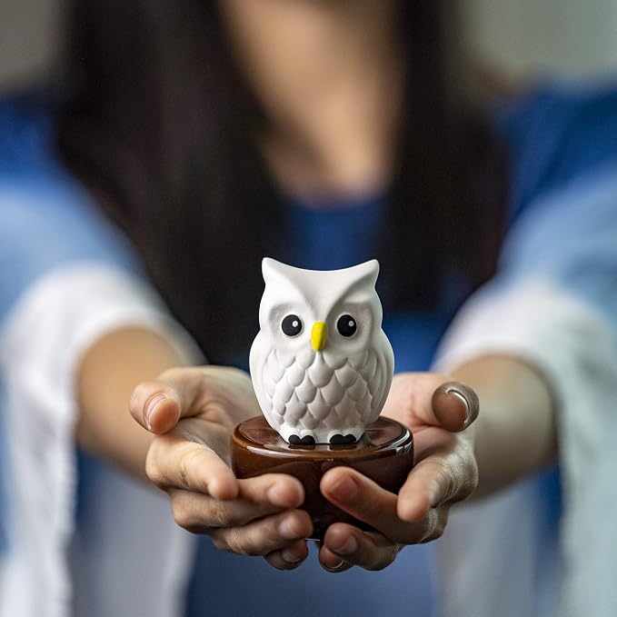 Blinky Owl, Non-Electric Ceramic Diffusers for Essential Oils and Aromatherapy Fragrance, White Ceramic Diffusers in Car or Desk Office Decor and Small Bathroom at Home, Brown Vase