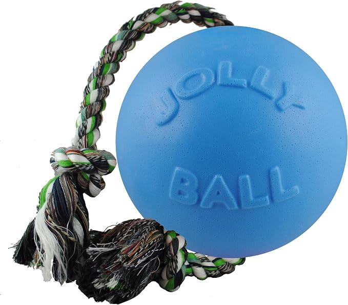 Jolly Pets Romp-N-Roll Rope & Ball Dog Toy, 8 in Large, Blueberry