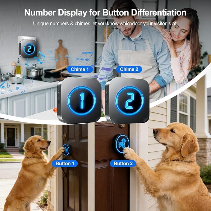 Dog Door Bell (2026 Wireless Receiver with Numeric Display) for Potty Training, Wireless Dog Doorbells to Go Outside, 1000 Feet Long Range, IP65 Waterproof, 60 Melodies & Adjustable Volume (2 Buttons)