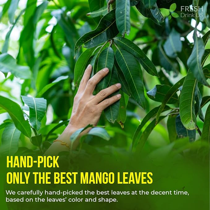 FreshDrinkUS, 8 oz Premium Dried Mango Leaves (Mangifera indica) – Cut & Sifted Loose Leaf for Herbal Tea – Natural Botanical Leaves for Hot & Iced Infusions – Non-GMO, No Additives, Resealable Pouch