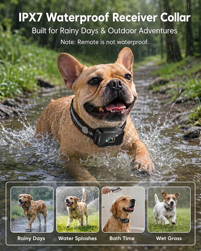 LUCKFOX Dog Bark Collar with Remote, 2-in-1 Shock Collar for Dogs Training