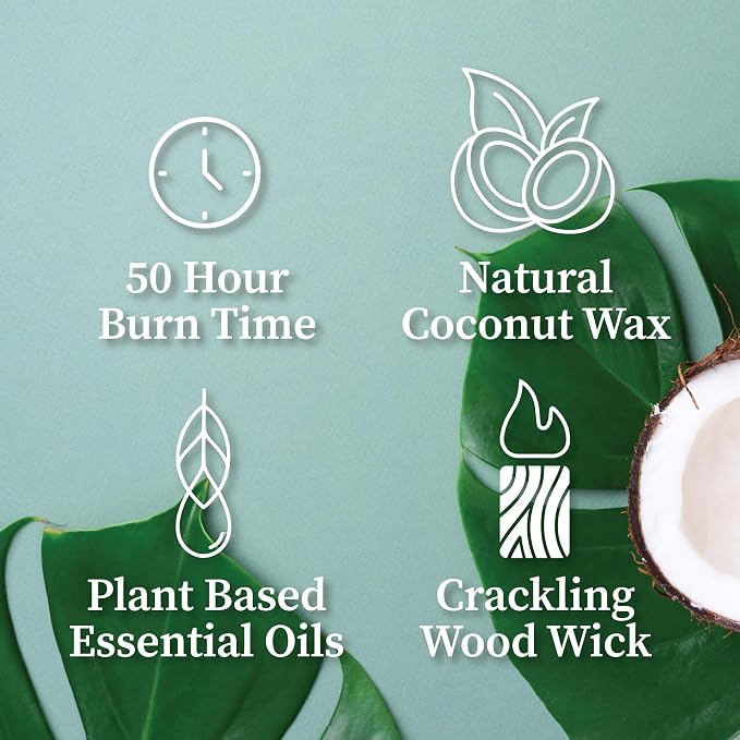 Hemlock Park Aspen Postcards Scented Candle | Crackling Wood Wick, Botanical Fragrance & Coconut Apricot Wax | Up to 50 Hour Burn Time | 7.2 oz | Made in USA