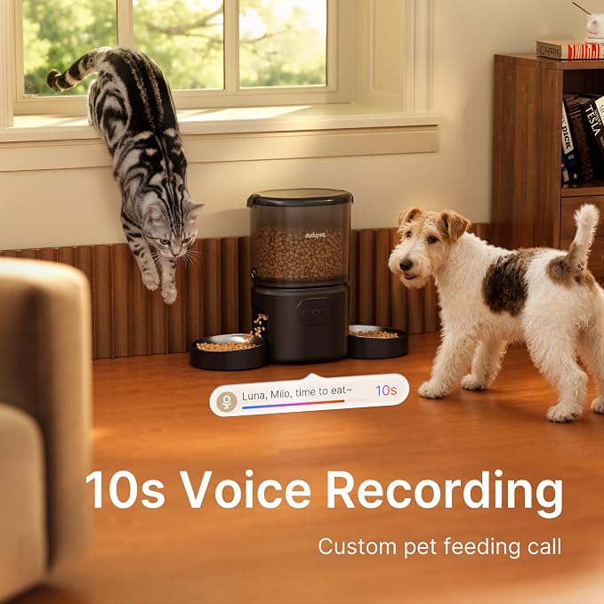 Automatic Cat Feeder for 2 Cats, Dual Cat Feeder with 5G WiFi APP | Cat Food Dispenser App Control, Timed Precise Feeding, Portion Control, 5L Auto Pet Feeder, Double Stainless, Voice Recorder