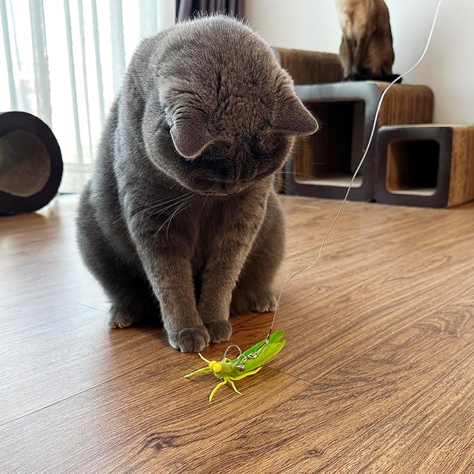 TTcat 3 Pack Dragonfly Grasshopper Cat Wand Refills, Realistic Natural Feather Insect Detachable Replacement Toy Heads with Bell, Universal Lobster Clip-on Cat Teaser Attachments.