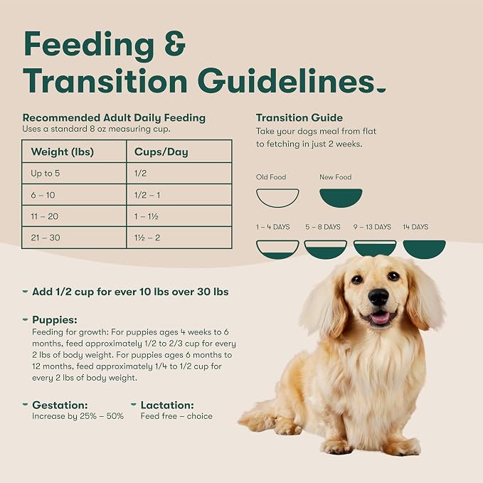 Jinx Grain Free Dry Dog Food - Real Salmon, Sweet Potato & Carrot, 11.5lb | Premium Kibble for Digestive Support & Healthy Immunity - No Fillers, All Lifestages (Puppy, Adult & Senior), Breeds & Sizes