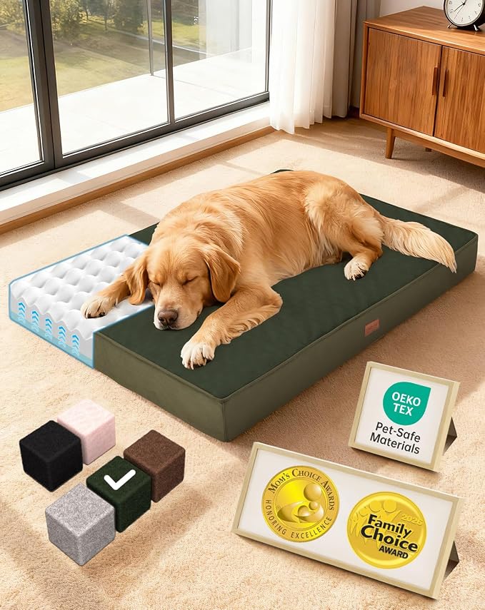 OhGeni Orthopedic Waterproof Large Dog Bed, Memory Foam, 41 inch(Green) | Machine-Washable Removable Cover in Easy-Clean Fabric, Reversible Memory Foam & Easy-Carry Handle, Suitable for Crate