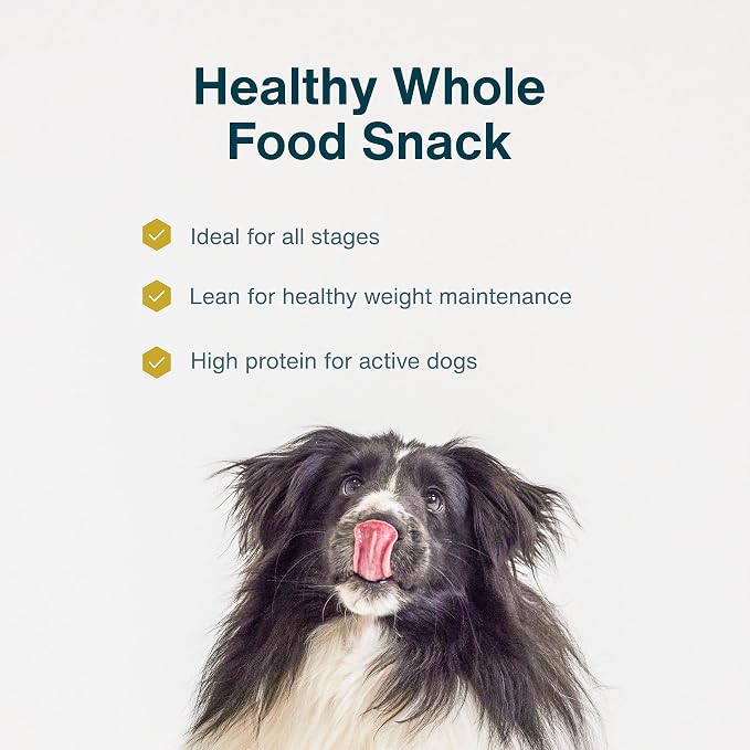JustFoodForDogs Ingredient Healthy Dog Treats and Dog Snacks,Jerky Treats,Human Grade,Preservative and Grain Free,Rawhide Free Chews,Low Calorie Treat - Pork,5 oz,(Pack of 2)