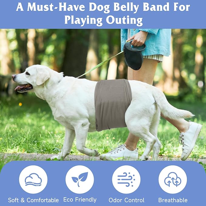 5 Pack Dog Diapers Male Reusable, Premium Belly Bands for Dogs, High Absorbing Male Dog Pee Wraps for Doggie in Incontinence or Excitable Urination Green M