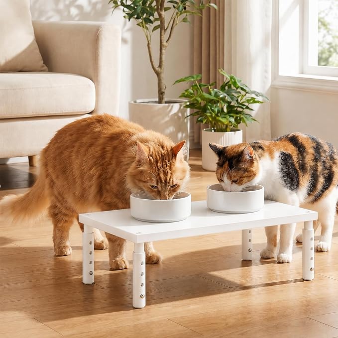 Adjustable Cat Food Stand, Elevated Cat Feeder Stand with 4 Height Settings, Automatic Cat Feeder & Tradition Bowls, Raised Pet Feeding Table Station for Cats & Small Dogs, White Wood