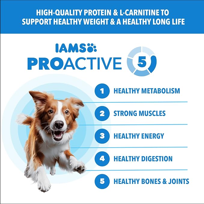 IAMS Proactive Health Healthy Weight Dry Dog Food, Chicken, 5 lb | Real chicken #1 ingredient, L-Carnitine for metabolism, strong muscles, no fillers or artificial flavors, vet-recommended