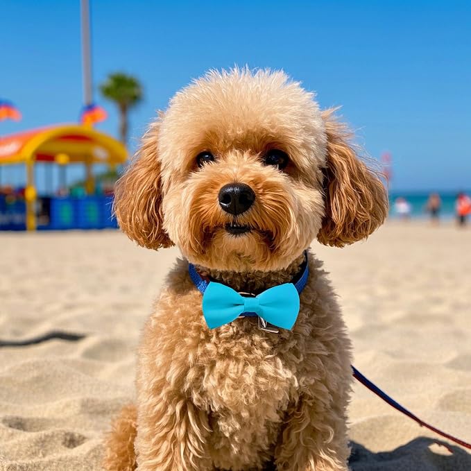 PET SHOW 12 Pack Plain Dog Bowties for Small Dogs Slide on Collar