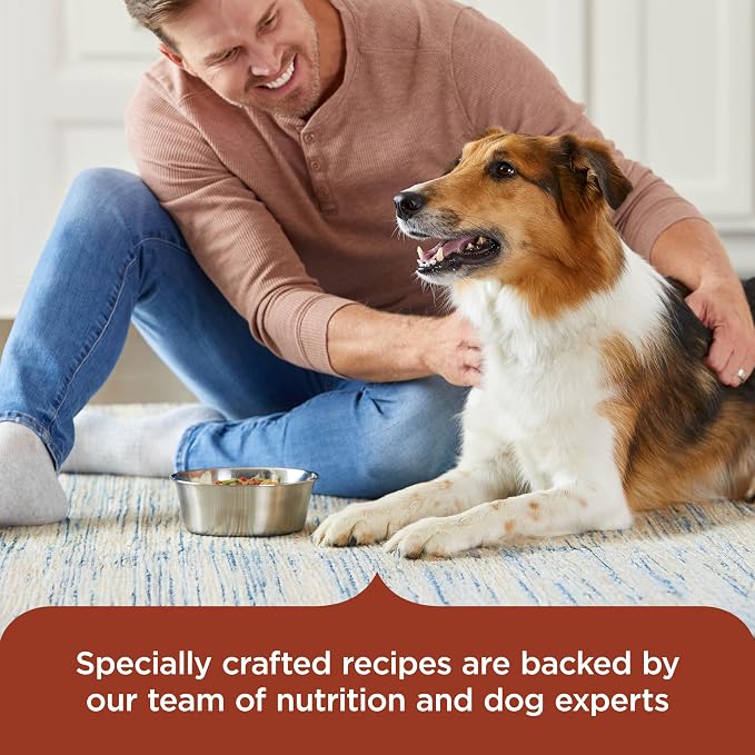 Nutrish Savory Favorites Wet Dog Food Variety Pack, 8 oz Tubs (Rachael Ray) | Pack of 6, Includes 3 Delicious Flavors of Chicken Paw Pie, Hearty Beef Stew & Savory Lamb Stew, No Artificial Flavors