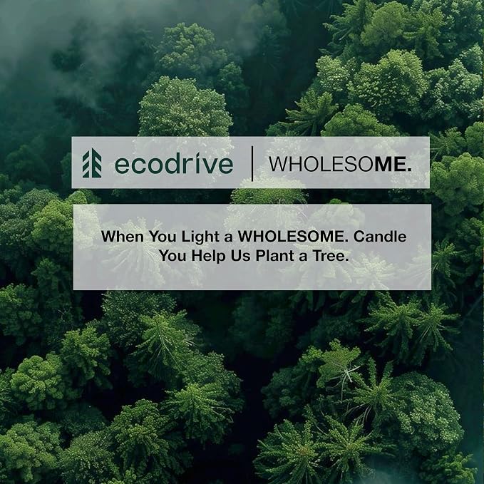 WHOLESOME. Warm Woods Scented Non-Toxic Candles for Home, 2 Wicks Natural Coconut Wax Candle Eco-Friendly, Luxury Aromatherapy Candles Stress Relief, 16 oz Large Concrete Jar, 90 Hours Burn