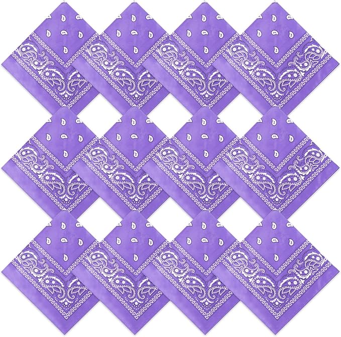 Suhine 12 Pcs Bandanas Bulk 22 x 22 Inch Paisley Headband Cowboy Handkerchief Christmas Thanksgiving Gift for Women Men