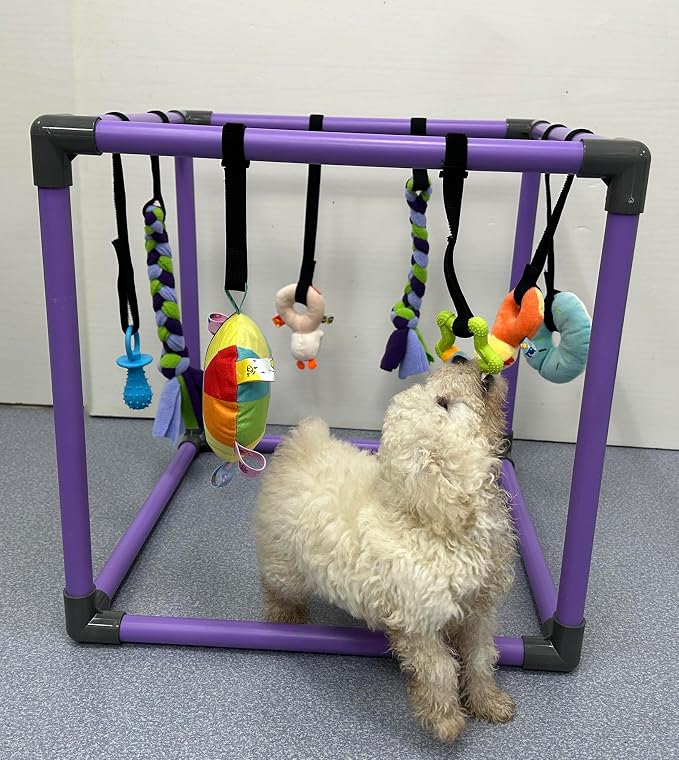 Puppy Play Gym for small dogs with 8 Hanging Interactive Toys Indoor Play