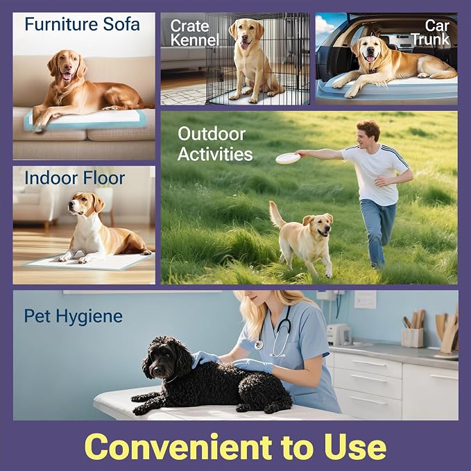CLEAN SPACES Puppy Pads 100 Count, 22"x22" | Super Absorbent Disposable Pee Pads for Dogs That Neutralize Odor, Wee Wee Pads / Potty Training Pads