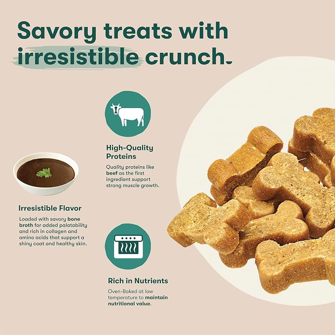 Jinx Dog Biscuits, Oven-Baked Dog Treats with Beef Bone Broth, 32oz | 1-Pack Crunchy & Healthy Dog Treat, Superfood-Rich with Real Grass Fed Beef, Dog Cookies for Puppies, Adults & Senior Dogs