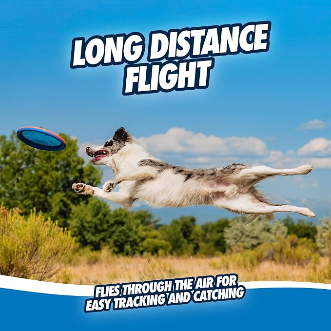 Chuckit! Paraflight Flying Disc Dog Toy, Floats, Size Large, 1 Pack | Made from Durable Nylon with Soft Rubber Edges, This Water-Floating Flyer Is Built for Fetch on Land or in the Lake