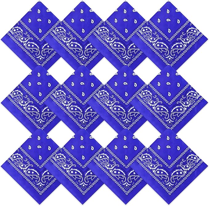 Suhine 12 Pcs Bandanas Bulk 22 x 22 Inch Paisley Headband Cowboy Handkerchief Christmas Thanksgiving Gift for Women Men