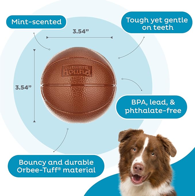 Outward Hound by Planet Dog Basketball, Durable Treat-Dispensing Dog Ball, Interactive Fetch Toy, Orbee-Tuff, Mint Scented, BPA-Free, for Indoor & Outdoor Play, Brown