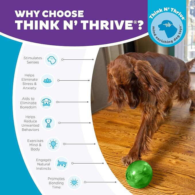 Outward Hound Orbee-Tuff Mazee Interactive Dog Puzzle Toy, Treat Dispensing Slow Feeder Ball, Green, 4.7-Inch