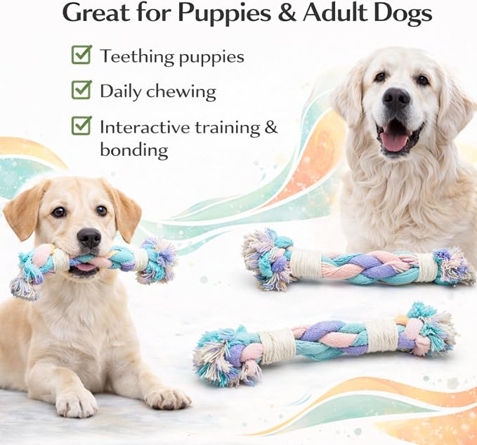 Dog Rope Toy – Eco-Friendly Durable Cotton Dog Chew Toy for Aggressive Chewers & Puppies – Interactive Molar Teeth Cleaning, Perfect for Small & Medium Dogs (10in), Safe, Non-Toxic, Fun Play