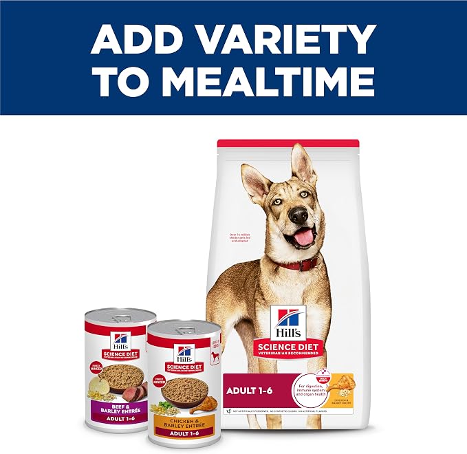 Hill's Science Diet Adult 1-6 Wet Dog Food | #1 Veterinarian Recommended, Chicken & Beef, 13 oz. Cans, 12-Pack