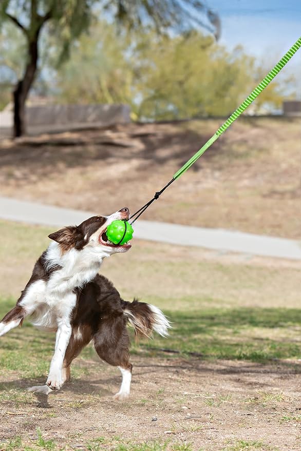 Jolly Pets Tree Tugger Interactive Bungee Dog Toy, Green | Bungee toy that tugs back for solo play - attaches to your dog's favourite Jolly Pets toys