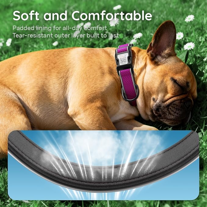 Reflective Dog Collar for Large Dogs,Personalized Dog Collar with Online Profile, Soft Neoprene Padded,Anti-Lose Function with QR Code Tag System (Purple, S (9.8"-15.7"))