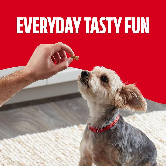 Milk-Bone Soft & Chewy Mini's Dog Training Treats, 18 oz Canister | Made with real chicken breast, small dog treats for training and rewarding, 18% protein, fortified with vitamins and minerals