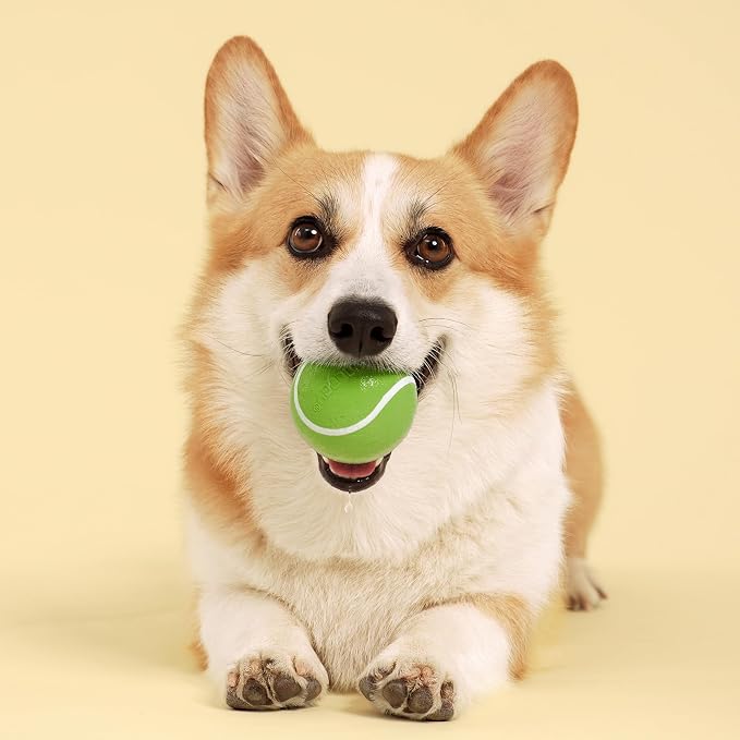 Playology Squeaky Chew Ball Dog Toy - Medium, Sweet Potato Scent