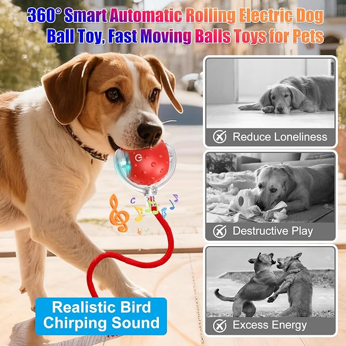 2Pcs Dog Toy, Interactive Dog Cat Toys Balls with Birdsong, Rechargeable 360° Smart Automatic Rolling Electric Dog Ball Toy with Rope for Pets Indoor & Outdoor Play (Red+Blue)
