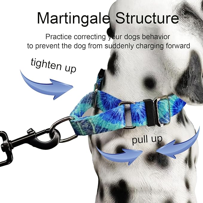 Martingale Collar with Buckle Blue Tie Dye Training Collar Adjustable Nylon Boy Dog Collars (Blue Teal, Large)