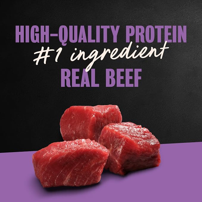 Cesar Classic Loaf in Sauce Wet Dog Food, Filet Mignon, 3.5 oz, 24 Count | Made in USA, Real beef #1 ingredient, no fillers/added sugar/artificial flavors, use as meal or topper, easy peel trays